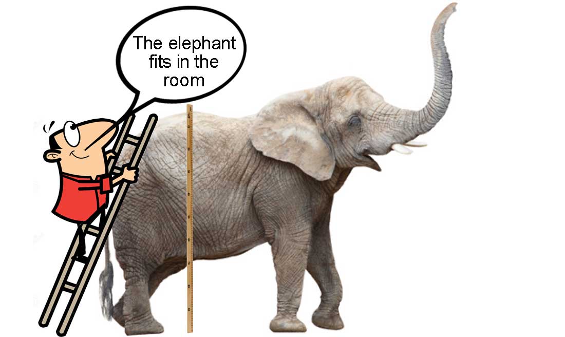 A man measuring the height of an elephan with a speach caption "The elephant fits in the room" despite having missed the elephant's head - illustrating the idea of intrinsic uncertainty